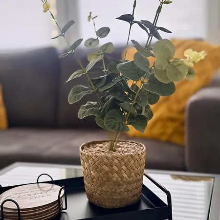 Stilvolle In Апартаменты